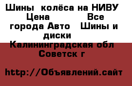 Шины, колёса на НИВУ › Цена ­ 8 000 - Все города Авто » Шины и диски   . Калининградская обл.,Советск г.